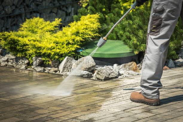 Best Sidewalk and Walkway Cleaning  in Maysville, KY